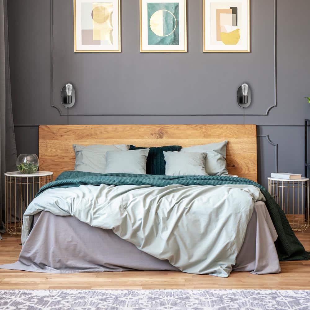 Matte Black Modern Oval Backplate Wall Sconce