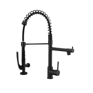 Single Handle Stainless Steel Pull Down Sprayer Kitchen Faucet with Pull Down Sprayer in Matte Black
