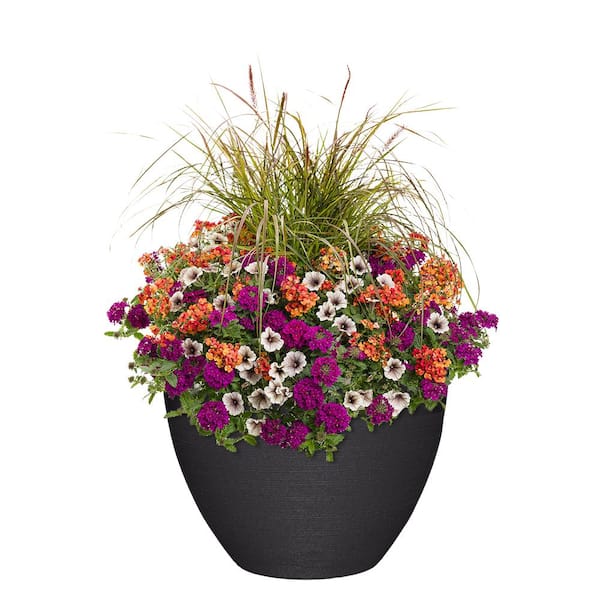 Decatur Large Black Resin Lightweight Round Planter with Optional Drainage Holes (20 in. L x 20 in. W x 14.3 in. H)