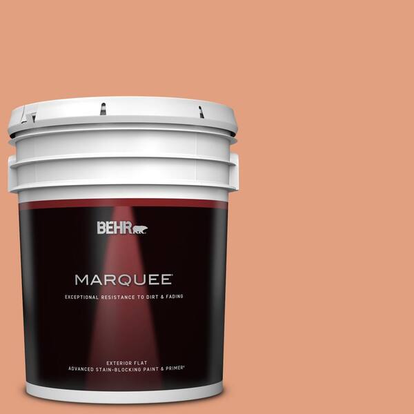 BEHR MARQUEE 5 gal. #230D-4 Pecos Spice Flat Exterior Paint & Primer