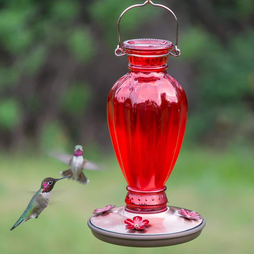 Red Daisy Glass Hummingbird Feeder with Copper Base, 18oz