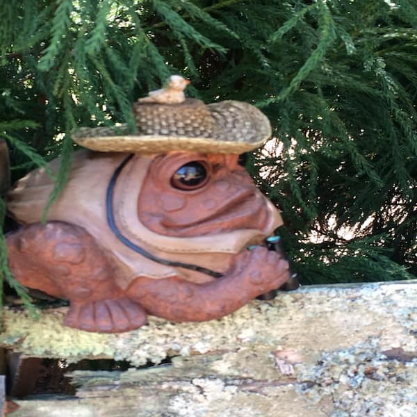 HOMESTYLES 8.5 in. Bird Watcher Toad with Binoculars Collectible