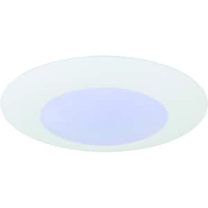 Mini 1-Light White Aluminum LED Indoor/Outdoor Ceiling Surface Flush Mount/Wall Sconce with Lens, Round Trim