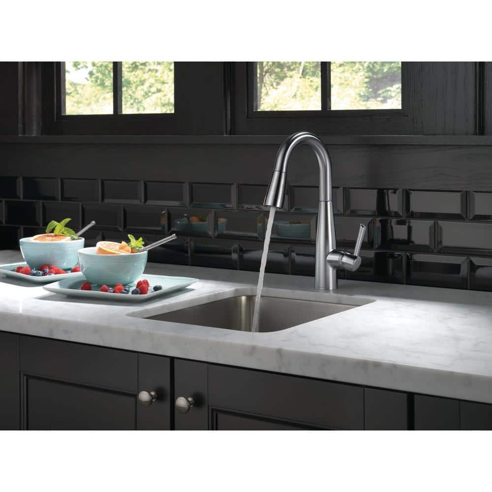Arctic Stainless Transitional Pull-Out Spray Kitchen Faucet
