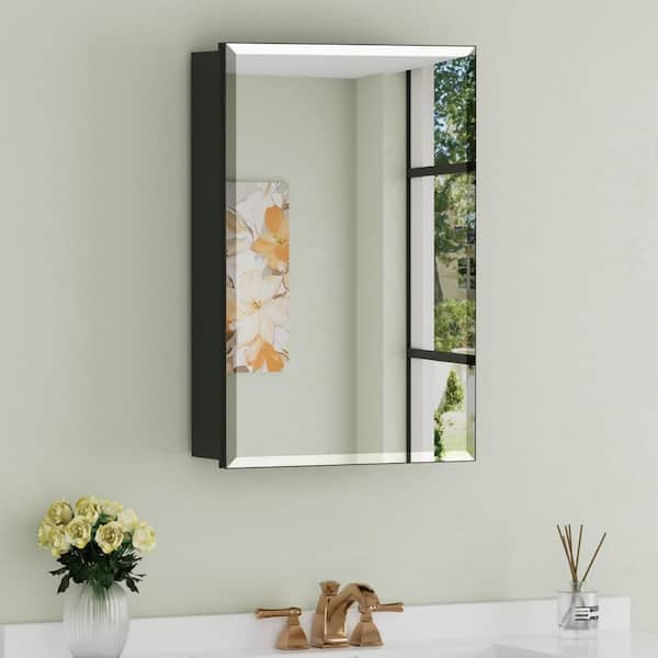 Moses 16 in. W x 24 in. H Rectangular Aluminum Medicine Cabinet with Mirror and Adjustable Shelves