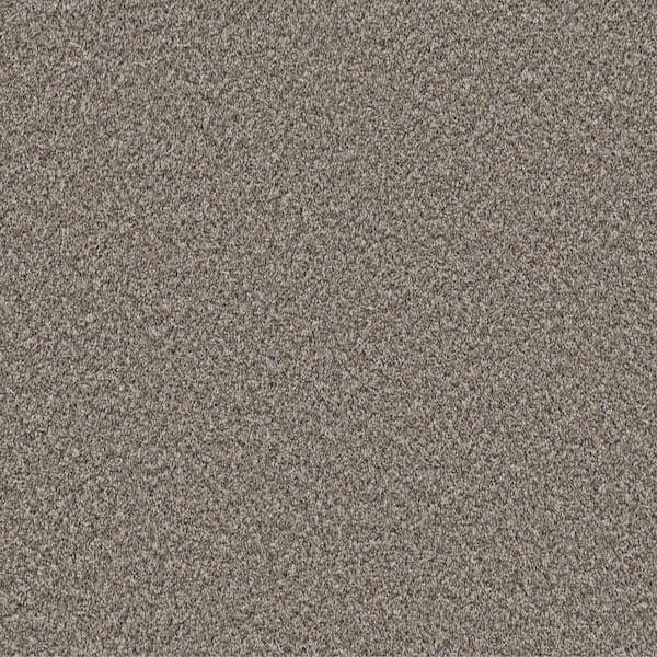 Home Decorators Collection 8 in. x 8 in. Texture Carpet Sample - Piece of Cake - Color Wild Mushroom