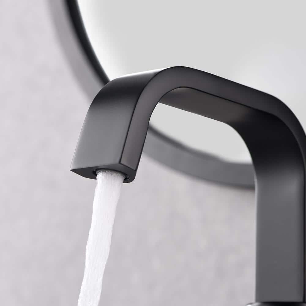 Matte Black Single-Handle Bathroom Faucet with Drain Assembly