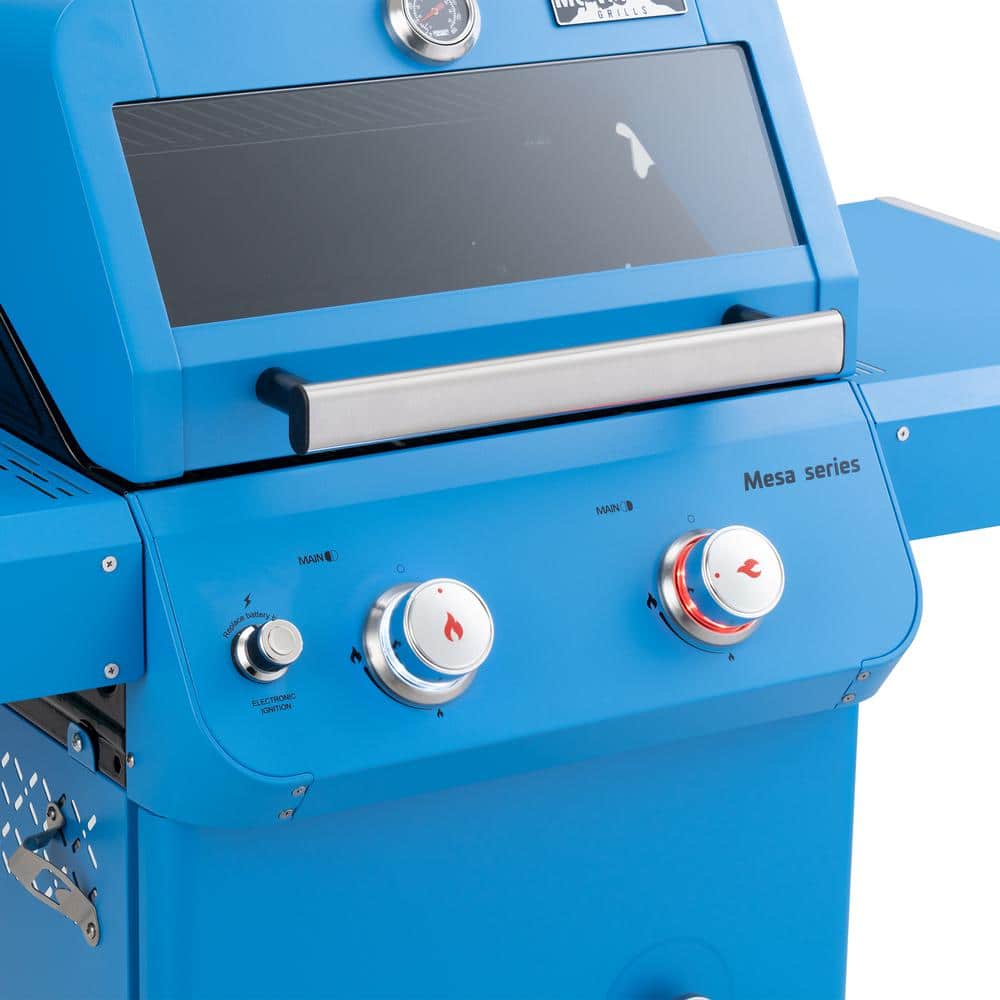 Blue 2-Burner Propane Gas Grill with Clear View Lid