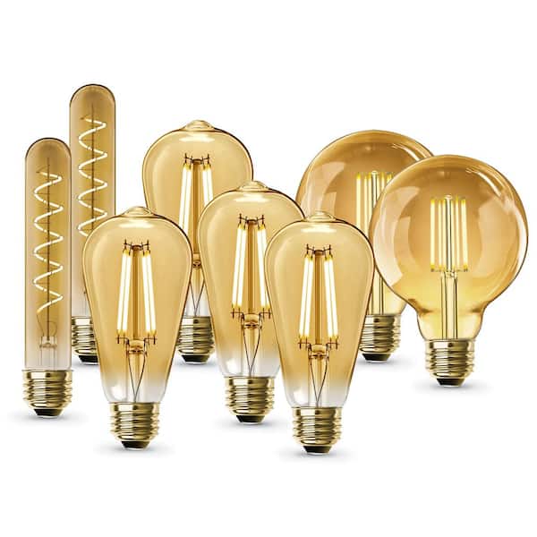 Feit Electric 60W Equivalent ST19 4-Pack, G30 2-Pack & 40W Equivalent T10L 2-Pack E26 Edison LED Light Bulbs Bundle Set Warm White