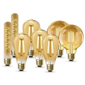 60W Equivalent ST19 4-Pack, G30 2-Pack & 40W Equivalent T10L 2-Pack E26 Edison LED Light Bulbs Bundle Set Warm White