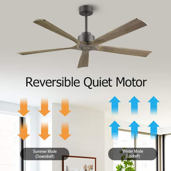 Why Ceiling Fan Always Rotates In Anticlockwise Direction | Shelly Lighting