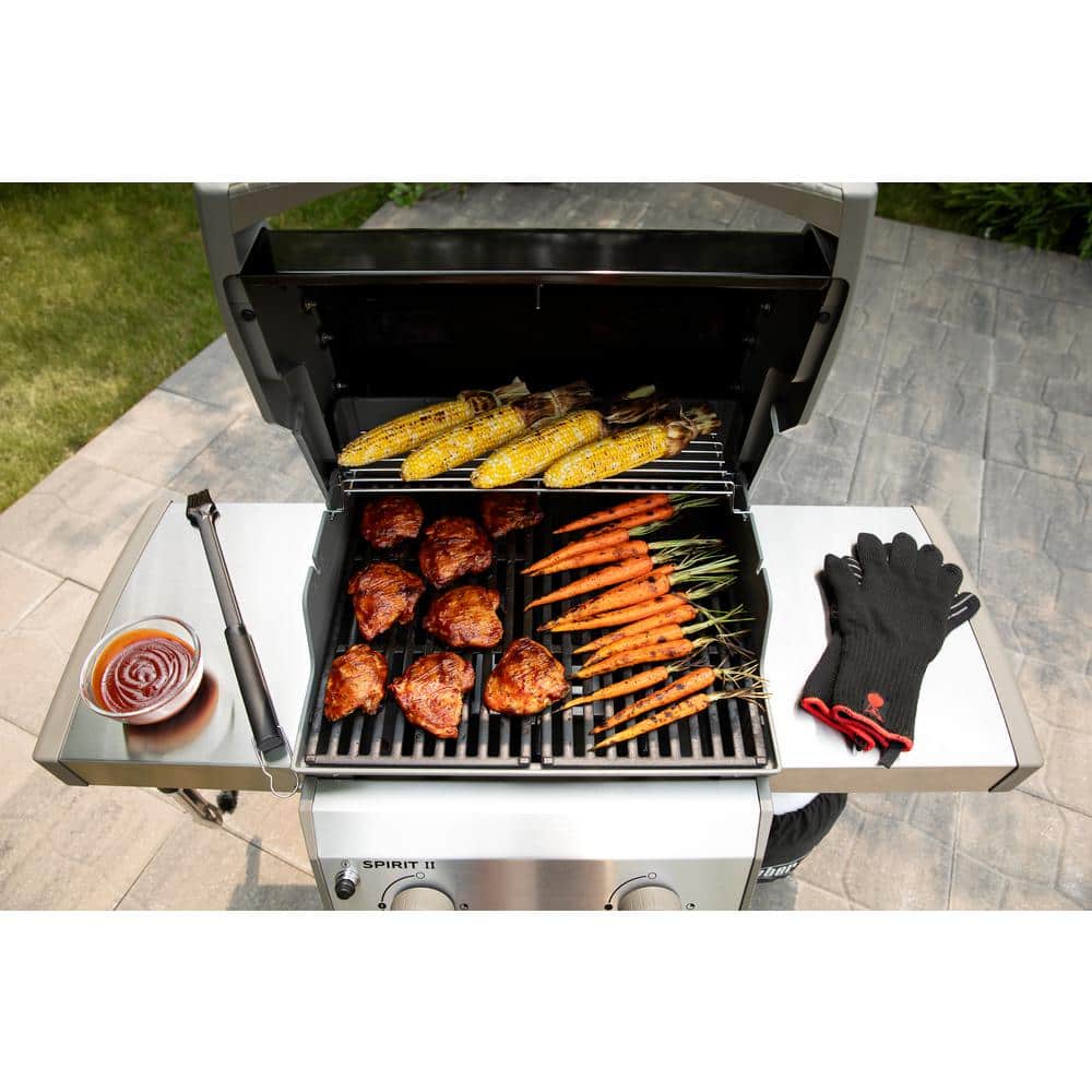 Black 2-Burner Liquid Propane Grill with Porcelain Coated Cast Iron Grates