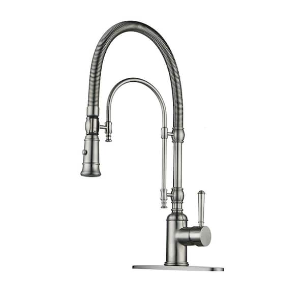 ALEASHA Single Handle Pull Down Sprayer Kitchen Faucet in Brushed