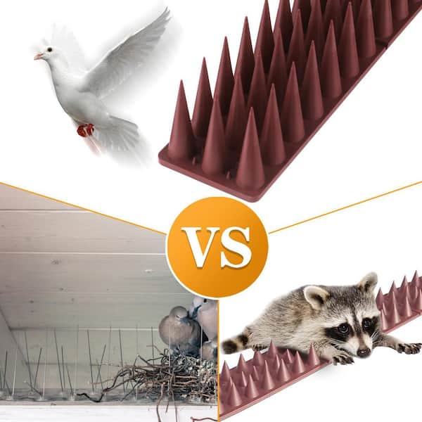 How to Keep Birds from Perching on Railing: Easy, Effective Tips
