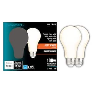 100-Watt Equivalent A19 Dimmable CEC Frosted Glass Filament LED Light Bulb Soft White (2-Pack)