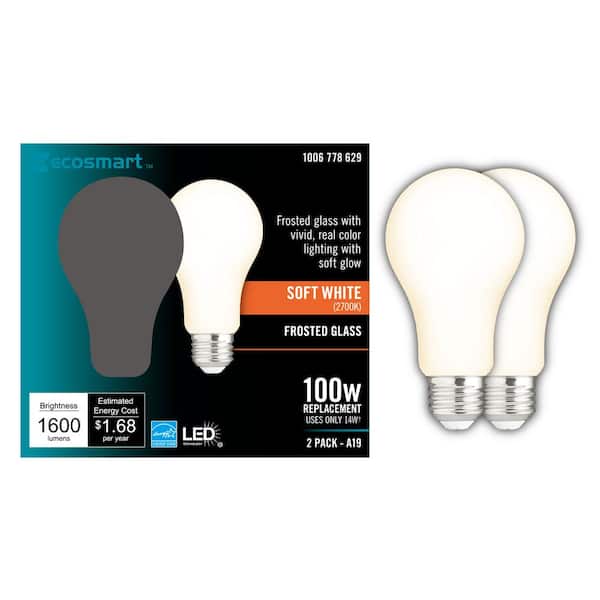EcoSmart 100-Watt Equivalent A19 Dimmable CEC Frosted Glass Filament LED Light Bulb Soft White (2-Pack)