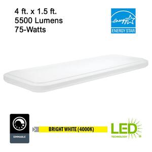49 in. x 18 in. Traditional Rectangle Stepped Lens LED Flush Mount Ceiling Light High Output 5500 Lumens 4000K Dimmable