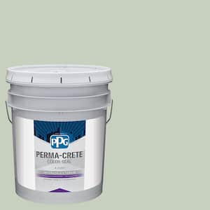 Color Seal 5 gal. PPG1124-3 Frosty Pine Satin Interior/Exterior Concrete Stain