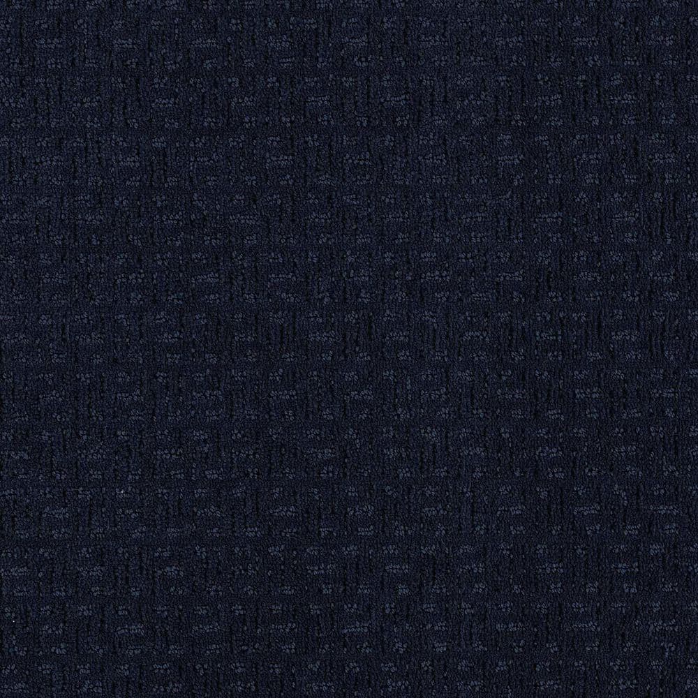 8 in. x 8 in. Loop Carpet Sample - Earthy Editions - Color Regal price history on PriceWatchPro