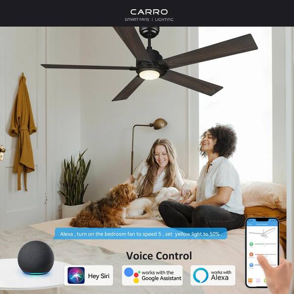 Outdoor Ceiling Fan Blades Droopy Shelly Lighting