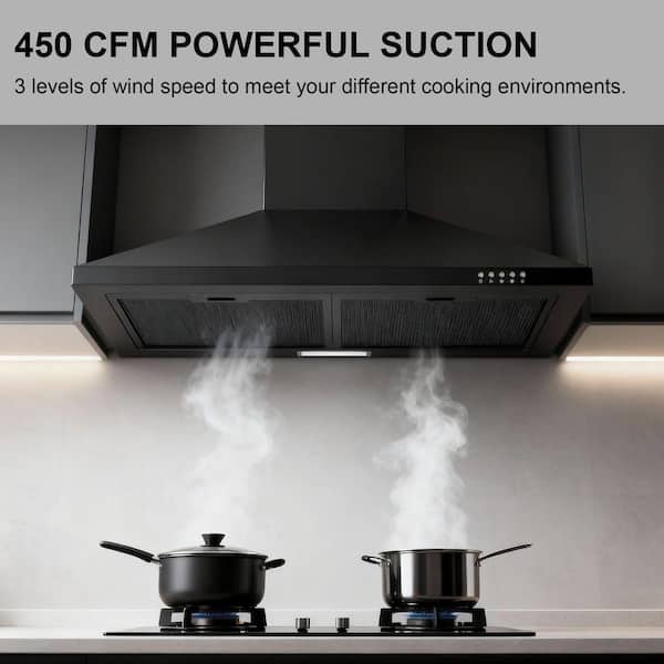 Flynama 30 in. 450 CFM Wall Mount Ducted Insert Range Hood in