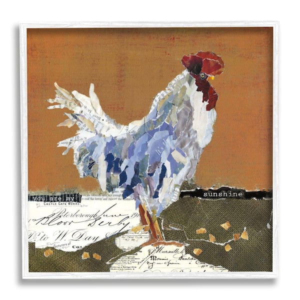 Stupell Industries "Country Farm Chicken Collage My Sunshine Sentiment" by Carol Robinson Framed Animal Wall Art Print 24 in. x 24 in.