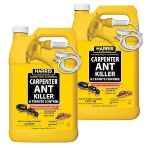 128 oz. Carpenter Ant Killer and Termite Control Treatment Spray (2-Pack)