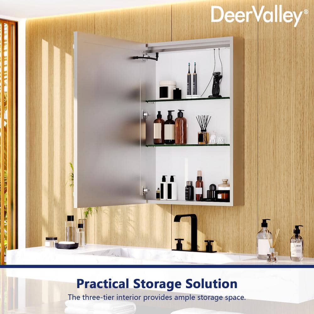 24'' W x 36'' H LED Lighted Wall Mounted Medicine Cabinet with Mirror