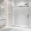 Holcam Eclipse 60 in. W x 74 in. H Frameless Sliding Shower Door in Oil ...