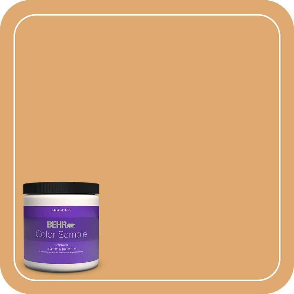 8 oz. Home Decorators Collection #HDC-FL13-2 Corn Maze Eggshell Enamel Interior Paint & Primer Color Sample price history on PriceWatchPro