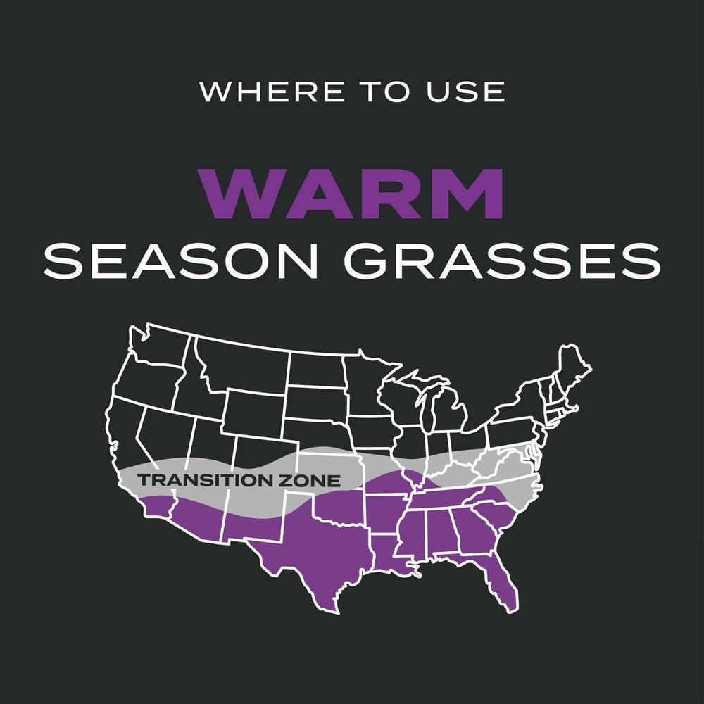 Imagen de producto 6