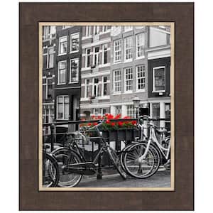 Lined Bronze Picture Frame Opening Size 16 x 20 in.