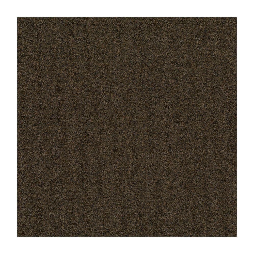 Tierra Heathered Loop Dark Gray 24" x 24" SD Nylon Carpet Tile