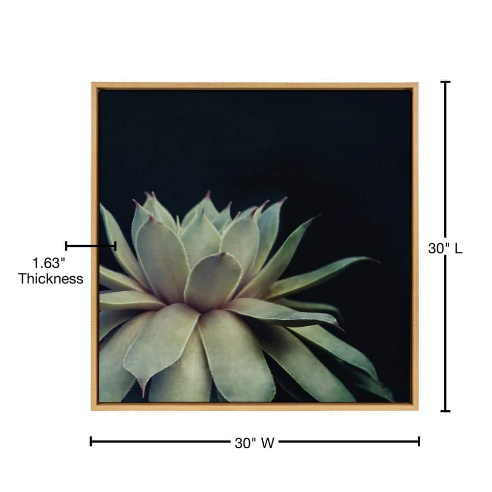 Sylvie Succulent Framed Canvas Wall Art in Natural Wood