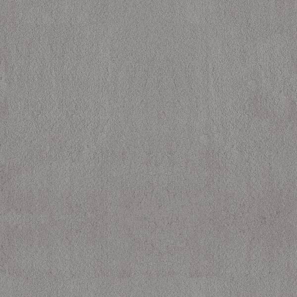 Dreamy Daze II Vega Gray 66 oz. Nylon Texture Installed Carpet