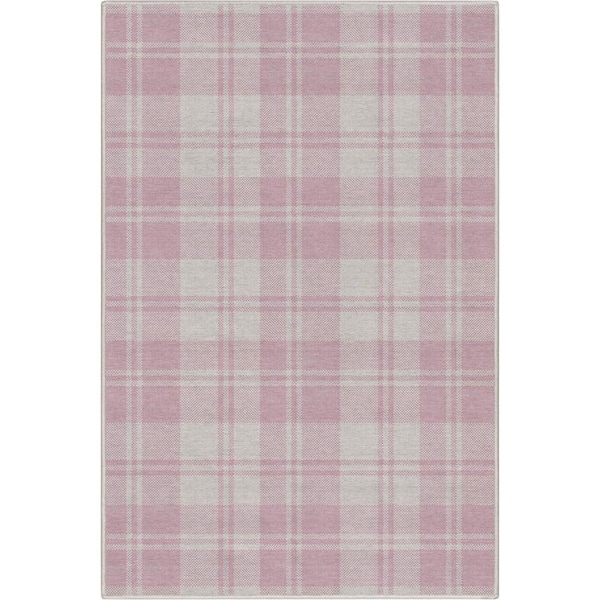Pink 3 ft. 3 in. x 5 ft. Apollo Plaid Farmhouse Geometric Area Rug