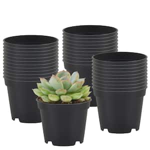 Arcadia Garden Products 2 in. Black Plastic Standard Grow Pot (250