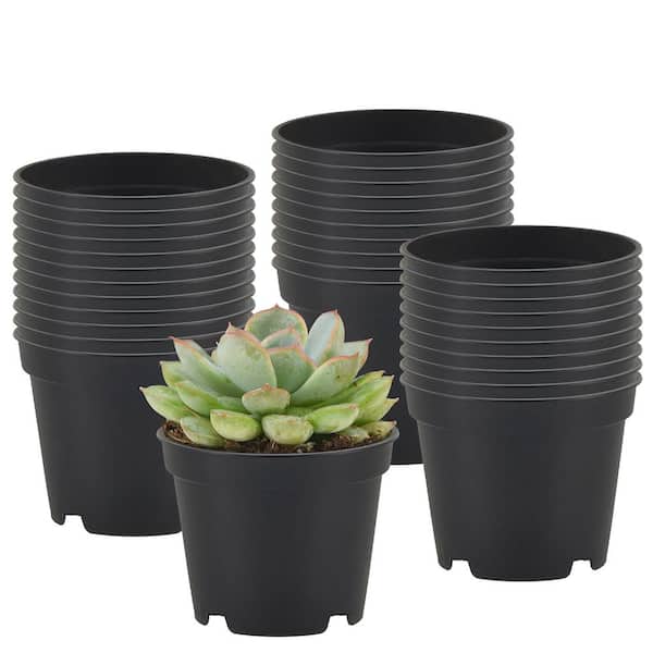 Arcadia Garden Products 2 in. Black Plastic Standard Grow Pot (100-Pack)  BJ02ST-100 - The Home Depot