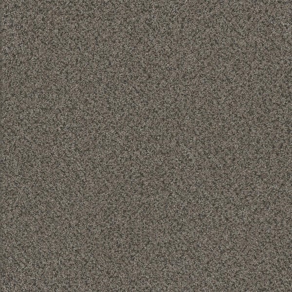 Home Decorators Collection Serene Glory III-Mellow Brown-65 oz. SD Polyester Texture Installed Carpet