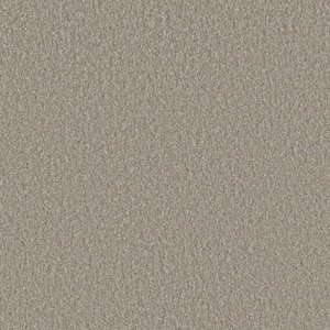 Blissful II - Jolly Gray - 60 oz. SD Polyester Texture Installed Carpet