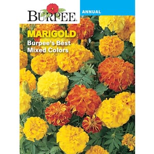 Marigold French Best Mix Seed