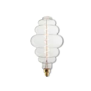 60 - Watt Equivalent BH Dimmable Medium Screw Decorative LED Light Bulb Amber Light 2200K -1 Pack