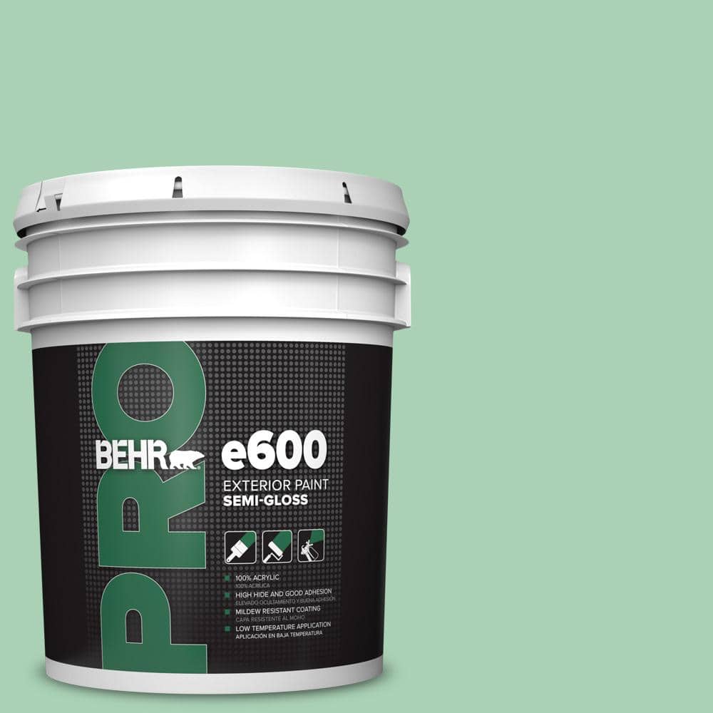 5 gal. #460D-4 Aloe Essence Semi-Gloss Exterior Paint price history on PriceWatchPro