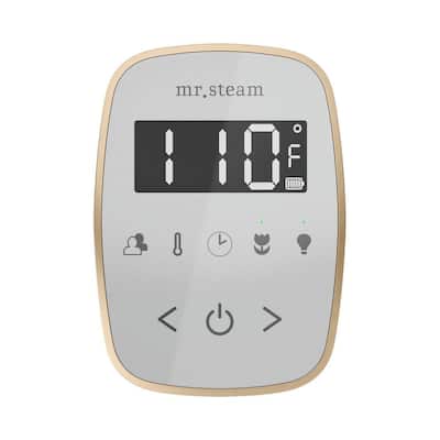 ButlerFlex Max Steam Shower Control Package with TempoFlex Control and Linear Steamhead in White Brushed Bronze