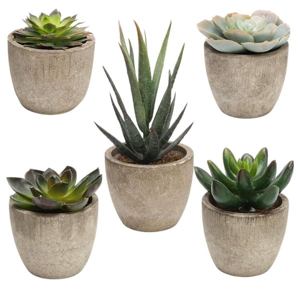 Unbranded (Set of 5) 2.75 in. H Green Indoor Succulent Assorted Decorative Faux with Pots Artificial Plant