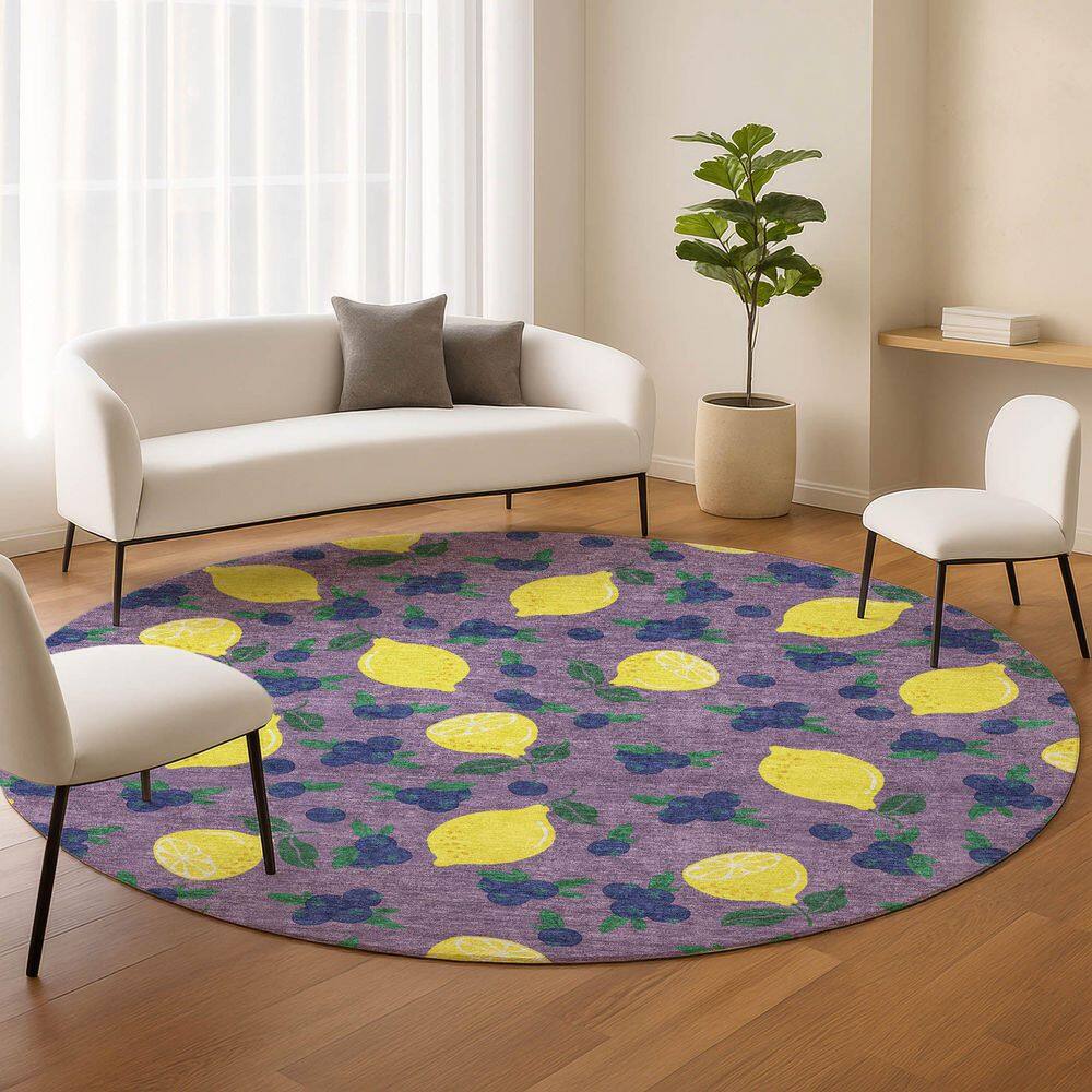 Chantille Machine Washable Indoor/Outdoor Abstract ACN2354 Lavender 8 ft. x 8 ft. Round Rug price history on PriceWatchPro