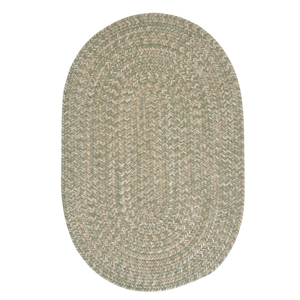 Home Decorators Collection Cicero Palm 2 ft. x 3 ft. Area Rug -  TE29R024X036