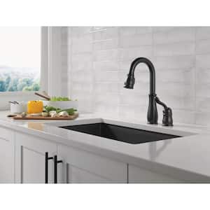 Leland Single-Handle Pull-Down Sprayer Kitchen Faucet with in Matte Black