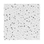 2 ft. x 2 ft. Radar Basic White Square Edge Lay-In Ceiling Tile, pallet of 320 (1280 sq. ft.)
