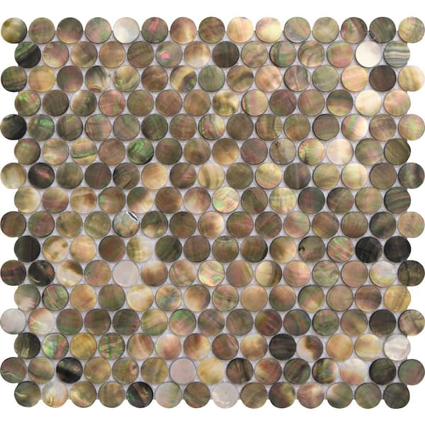 Apollo Tile Beige and Brown 4 in. x 5 in. Polished Mother of Pearl Penny Round Wall Mosaic Tile Sample (0.13 sq. ft./Piece)